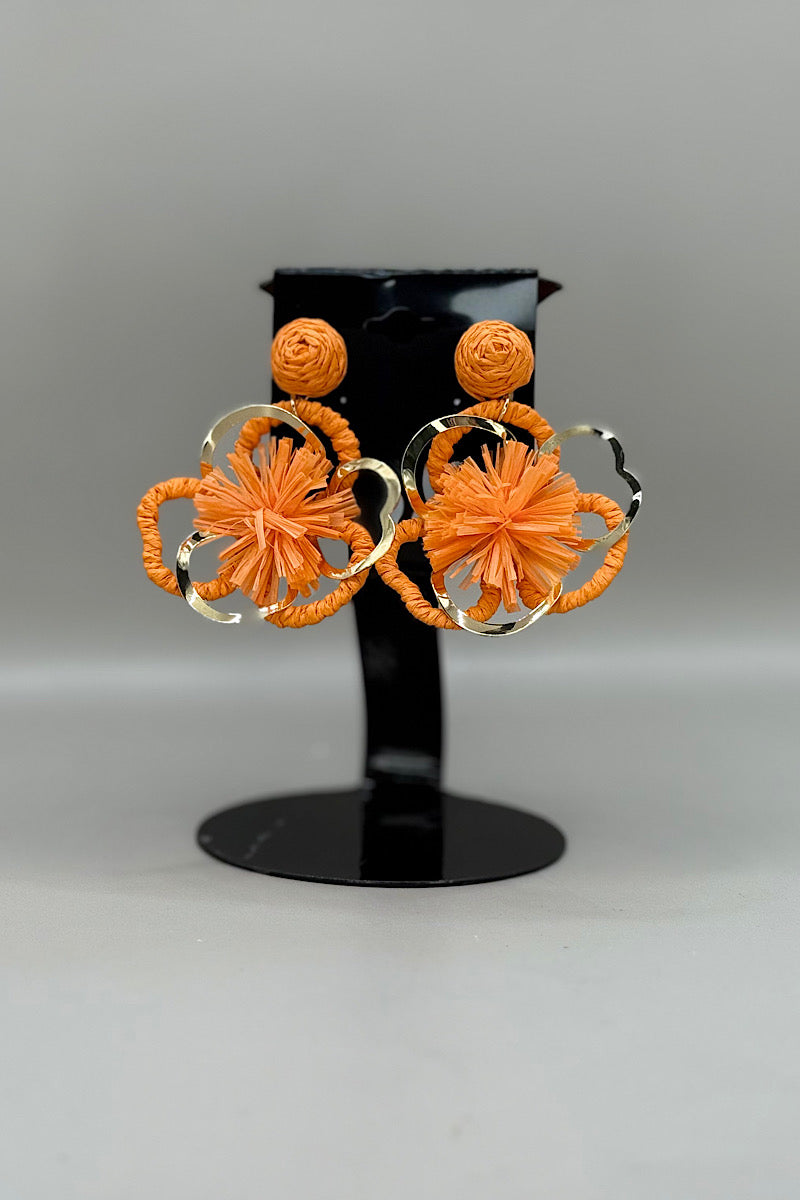 Earring- Multi Option Collection