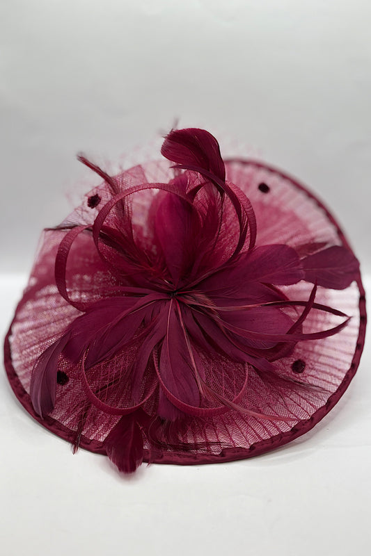 Netted Feather Fascinator
