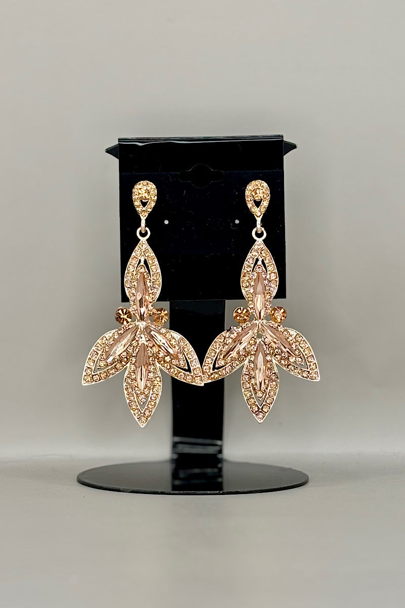 Earring- Multi Option Collection