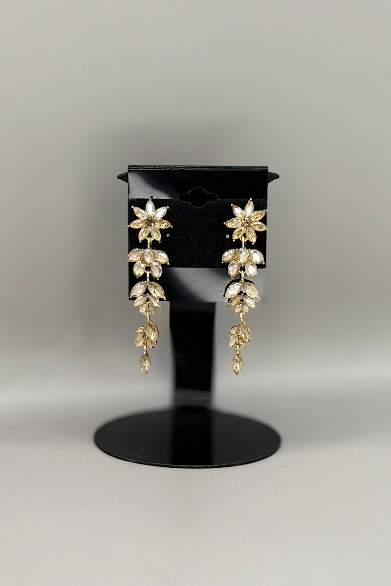 Earring- Multi Option Collection
