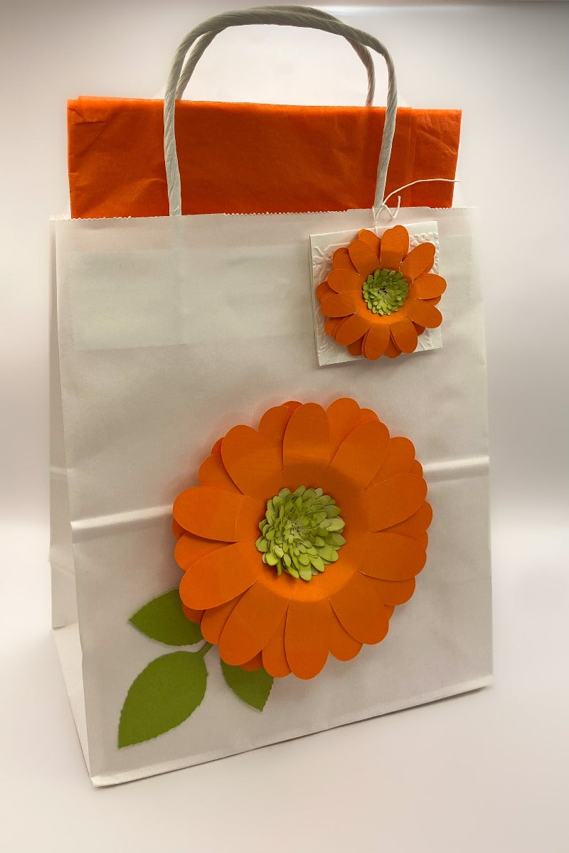 Big Gift Bag