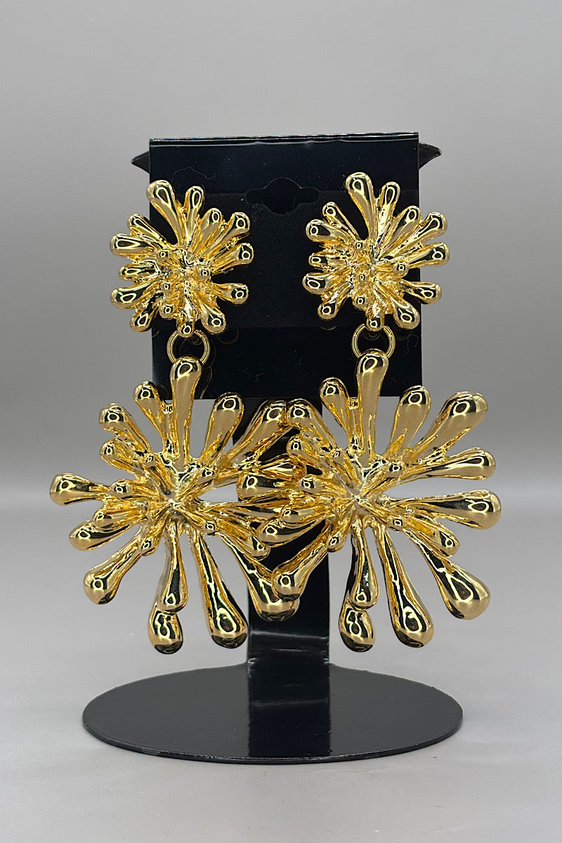 Earring- Multi Option Collection