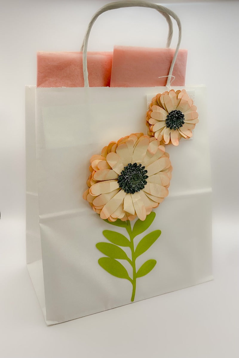 Big Gift Bag