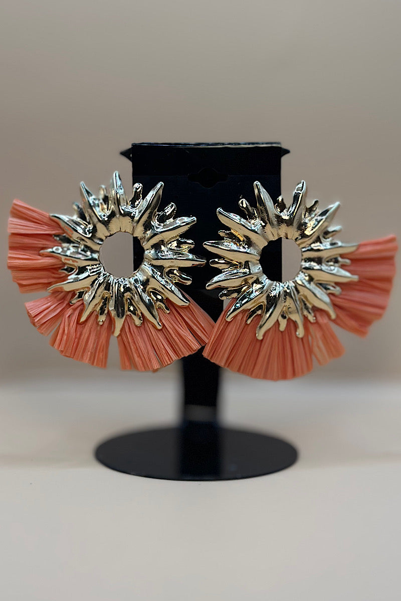 Earring- Multi Option Collection