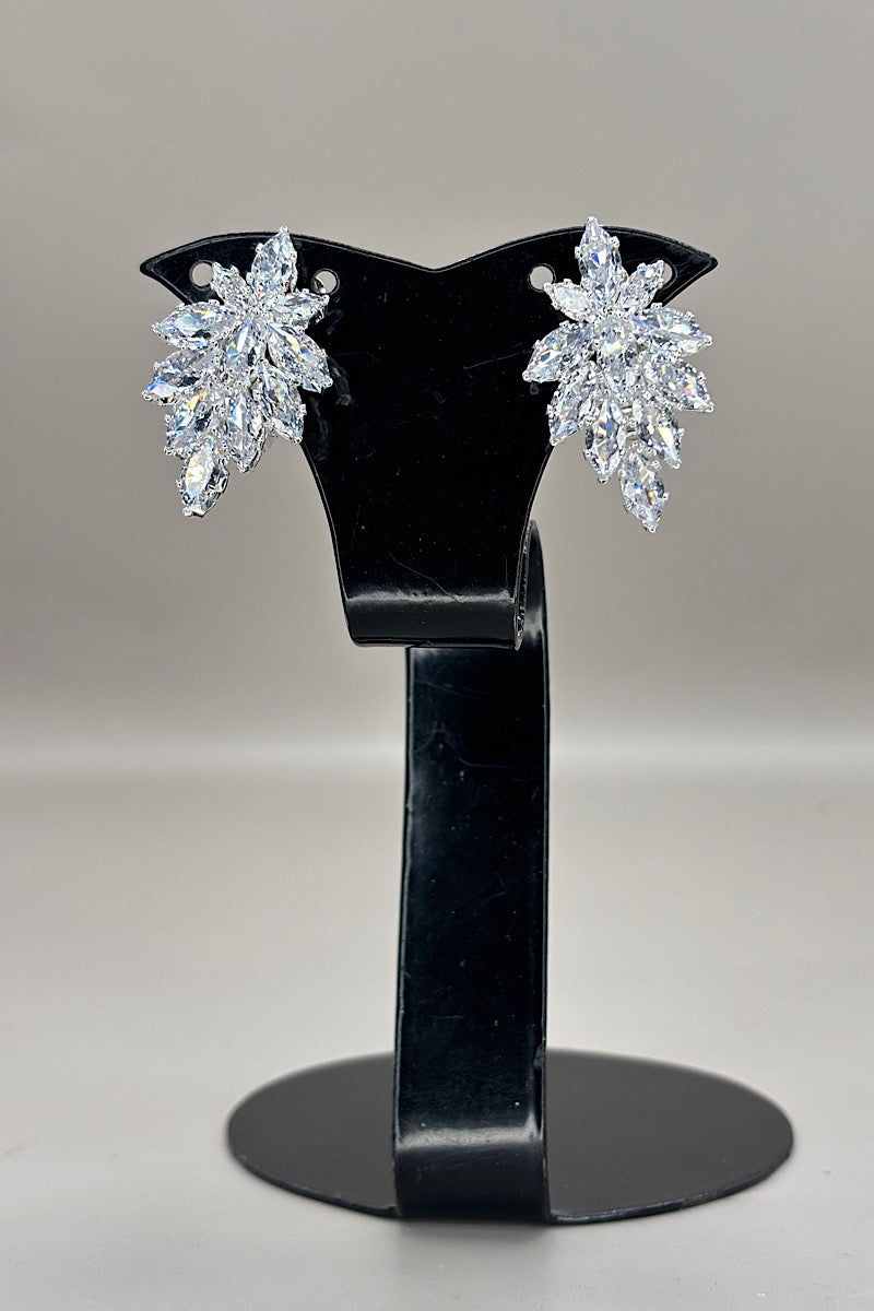 Earring- Silver Collection