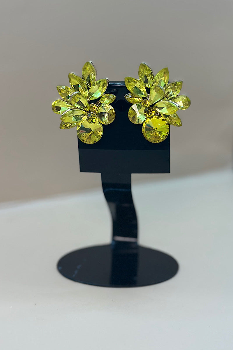 Earring- Multi Option Collection