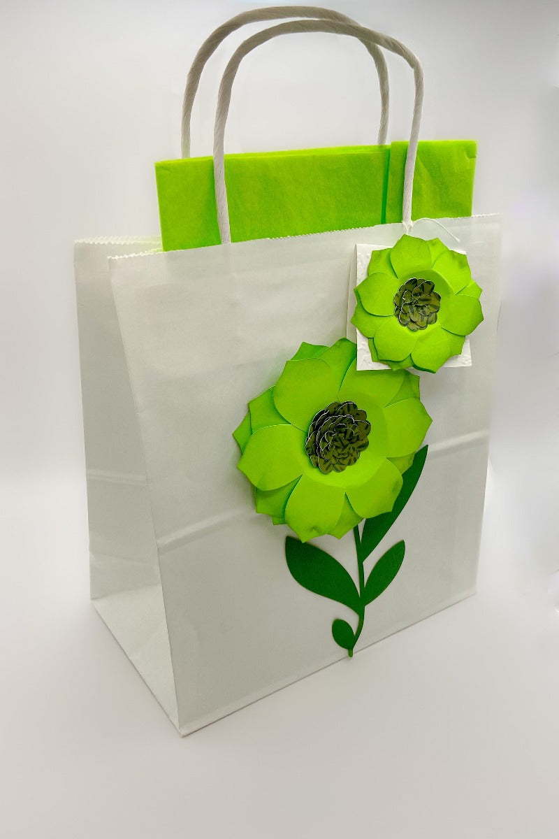 Big Gift Bag