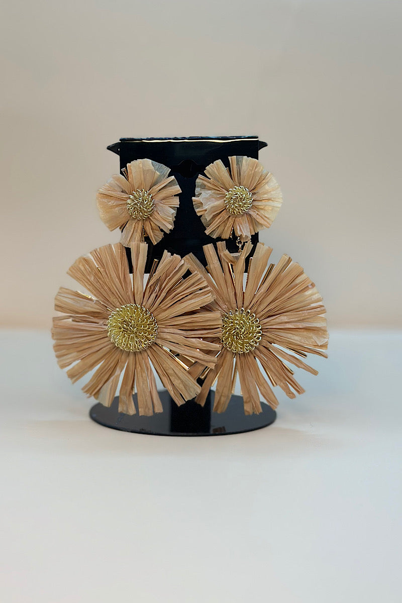 Earring- Multi Option Collection