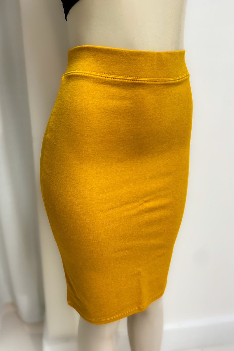 Fitted Pencil Skirt
