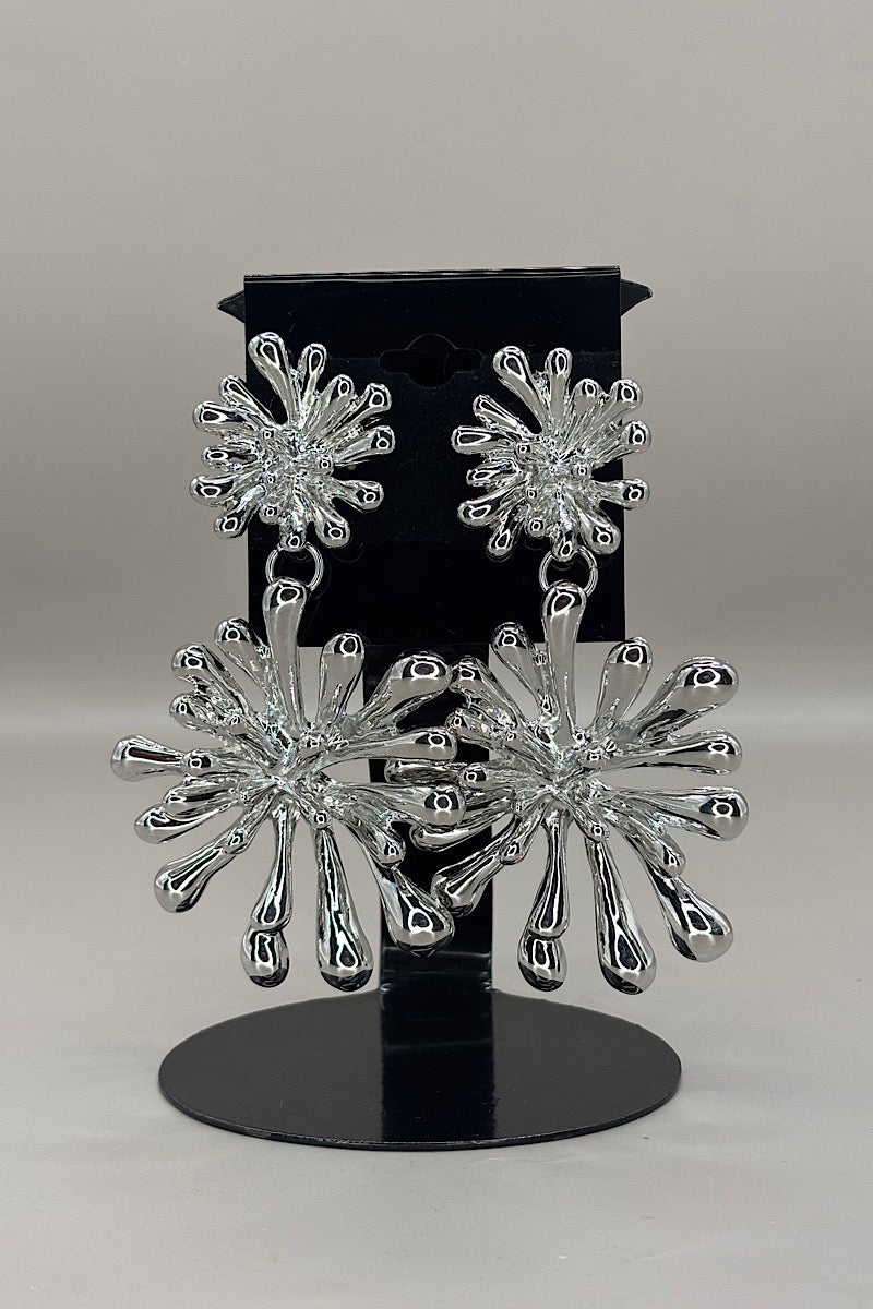 Earring- Multi Option Collection
