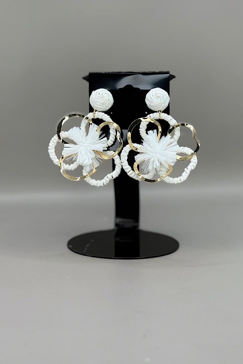 Earring- Multi Option Collection