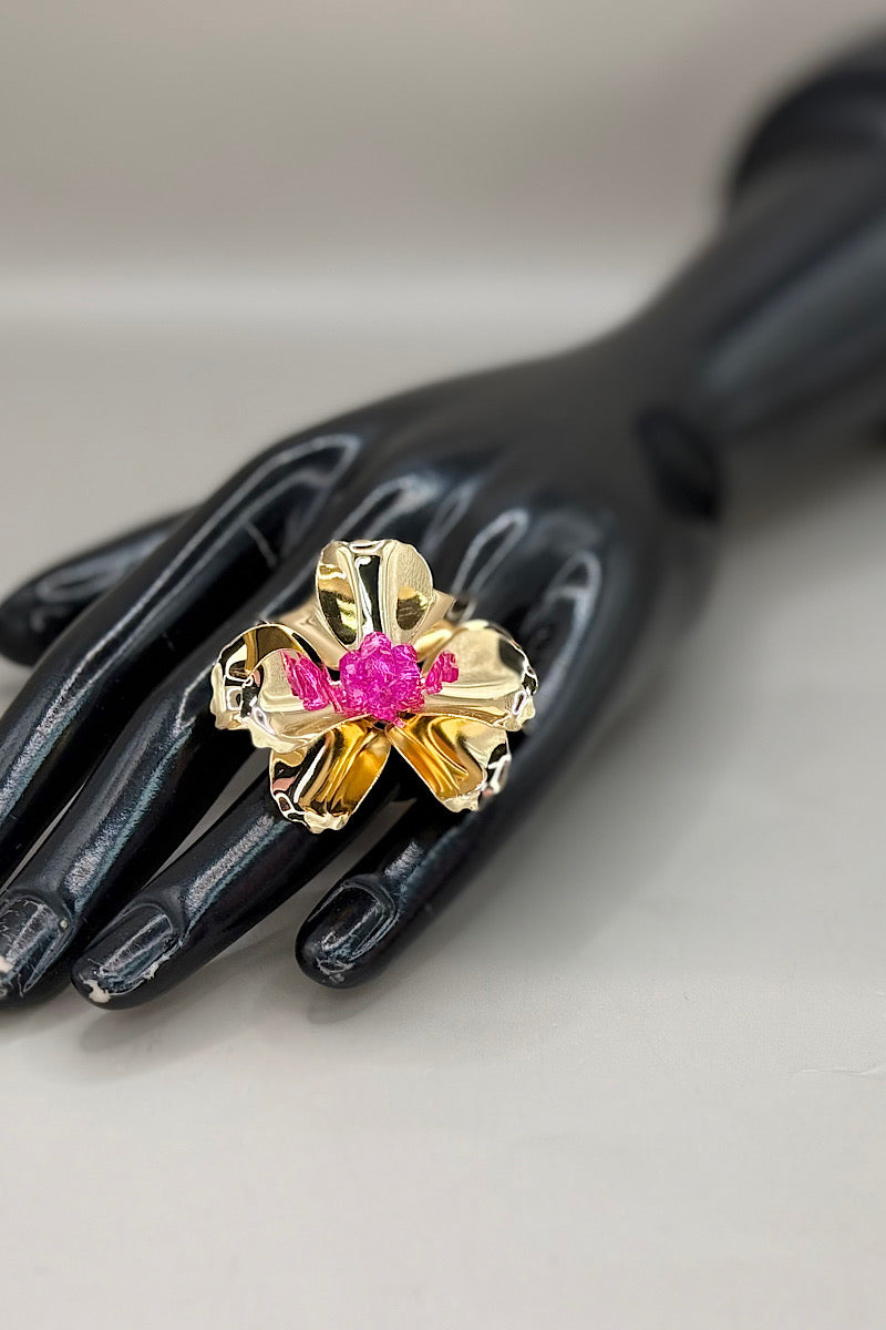 Rings- Multi Option Collection 2