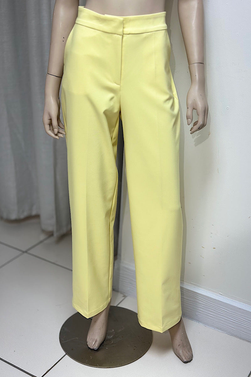Elastic Waist Wide Leg Pant