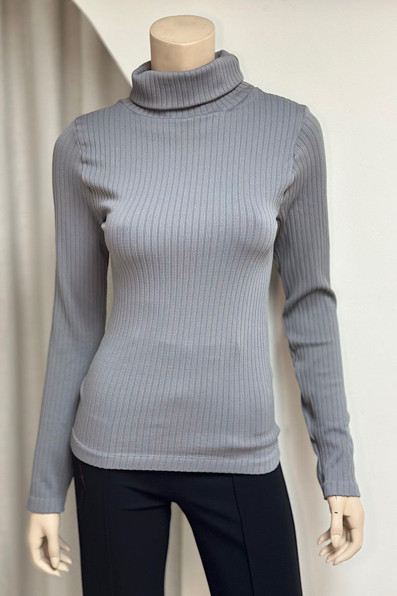 Ribbed Turtleneck