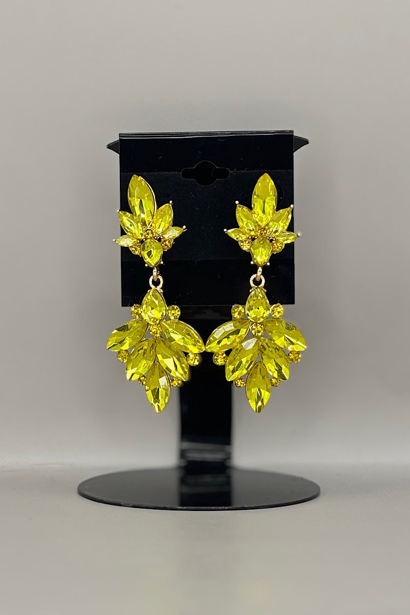 Earring- Multi Option Collection