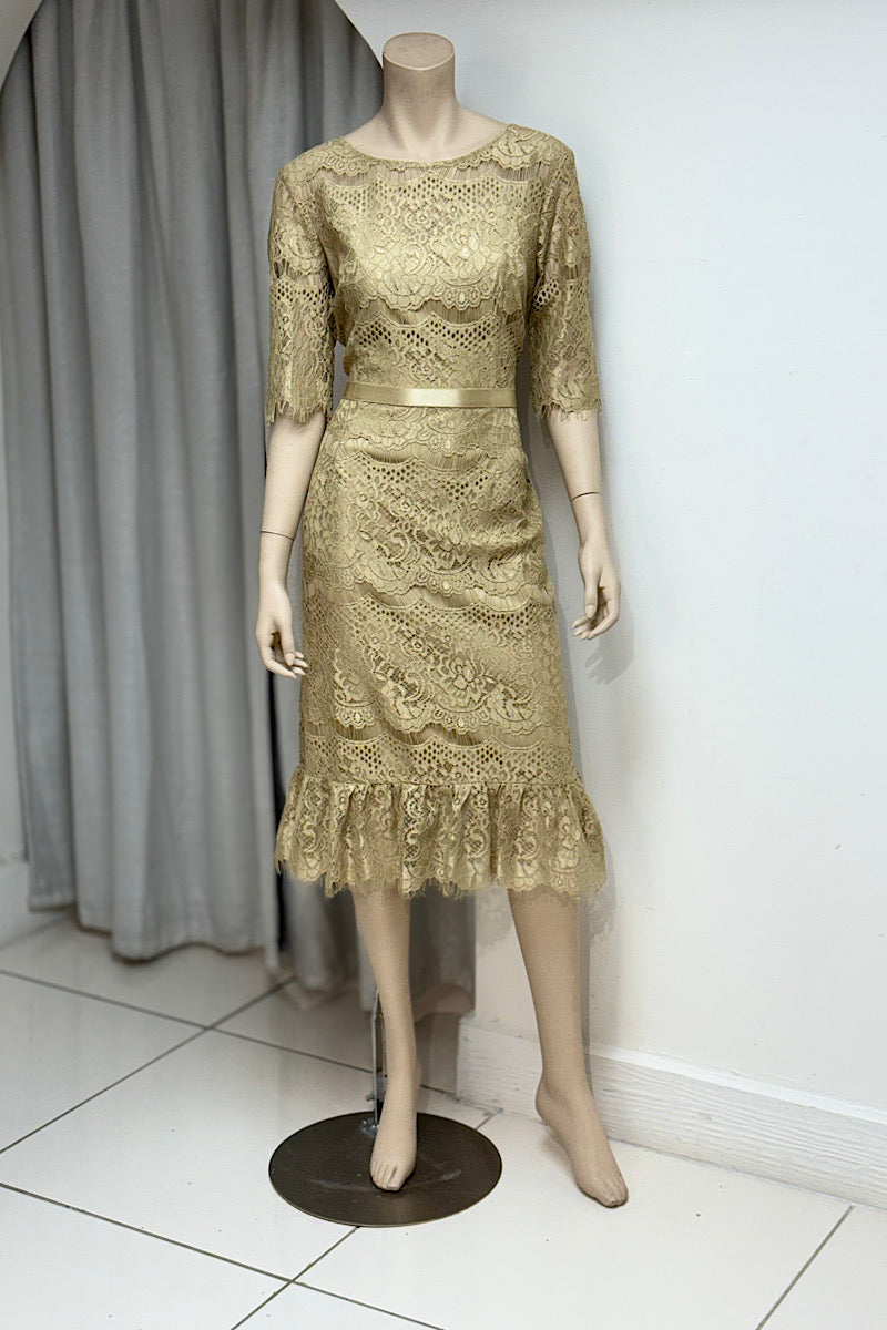 Lace Flare Frill Dress