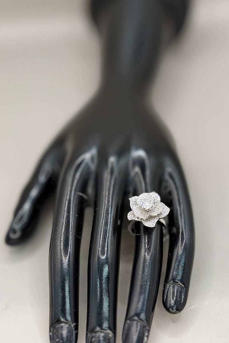 Rings- Silver Collection 6