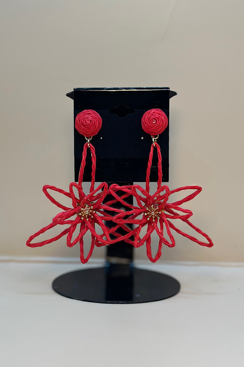 Earring- Multi Option Collection