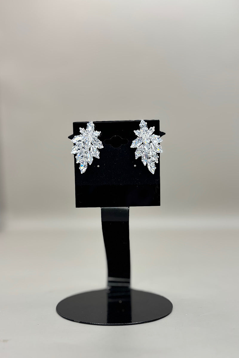 Earring- Silver Collection