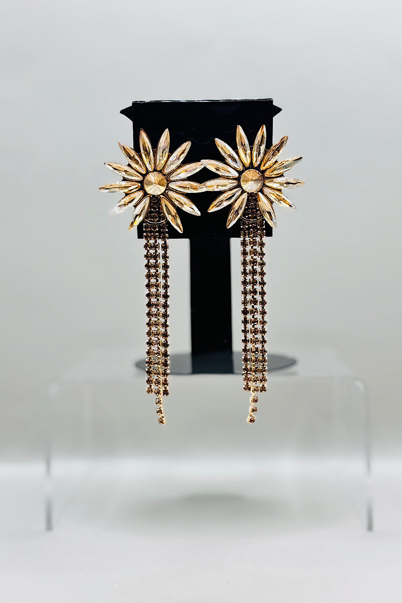 Earring- Multi Option Collection