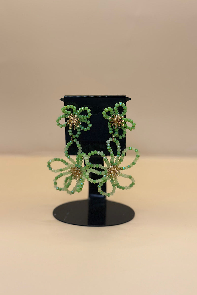 Earring- Multi Option Collection