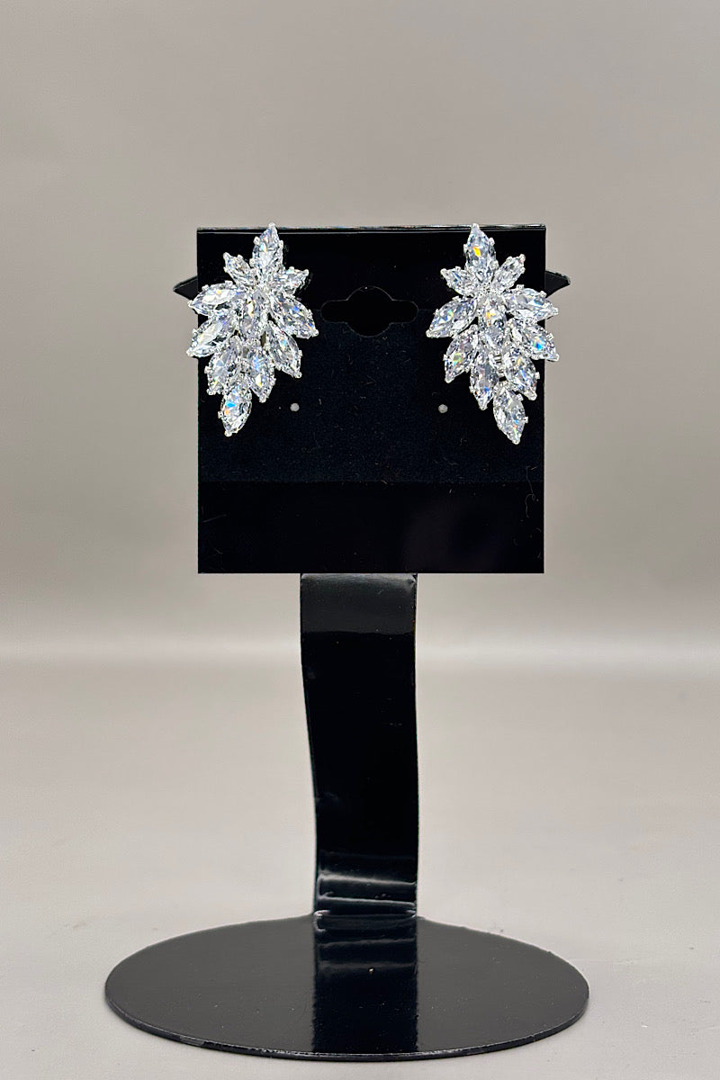 Earring- Silver Collection