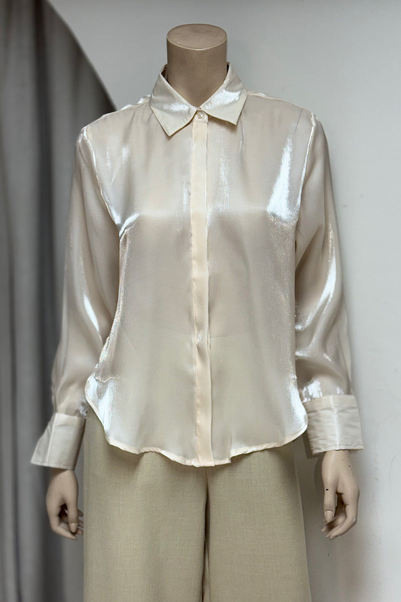 Shimmer Semi-Sheer Office Top