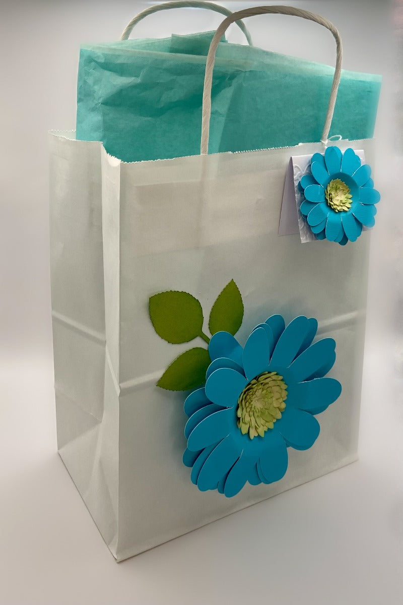 Big Gift Bag