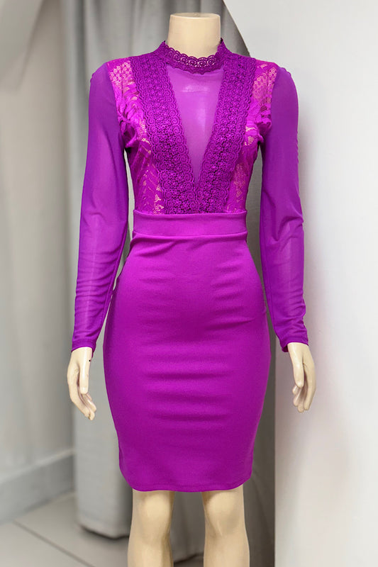 Long Sleeve Mesh Fitted Dress