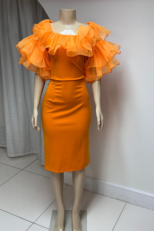 Orange Blossom Curvy Dress