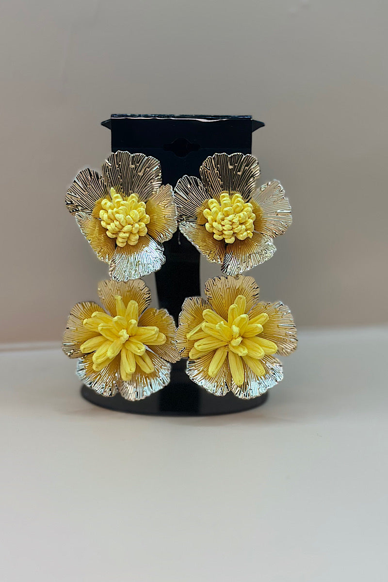 Earring- Multi Option Collection