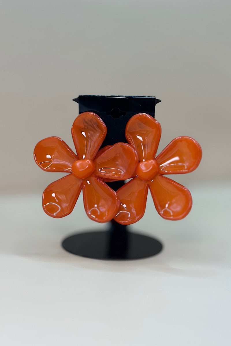 Earring- Multi Option Collection