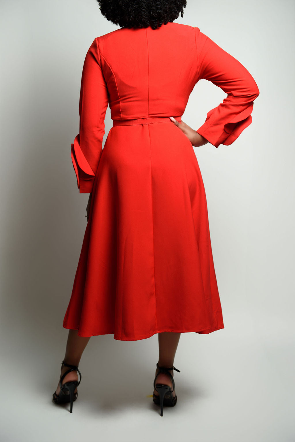 Long Rose Sleeve Tea-Length Dress