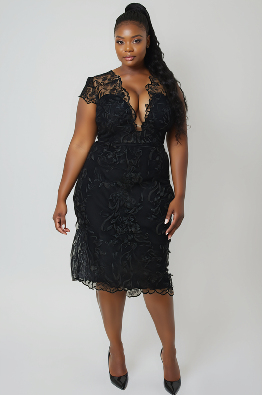 Lace Embroidered Sheer Back Midi Dress