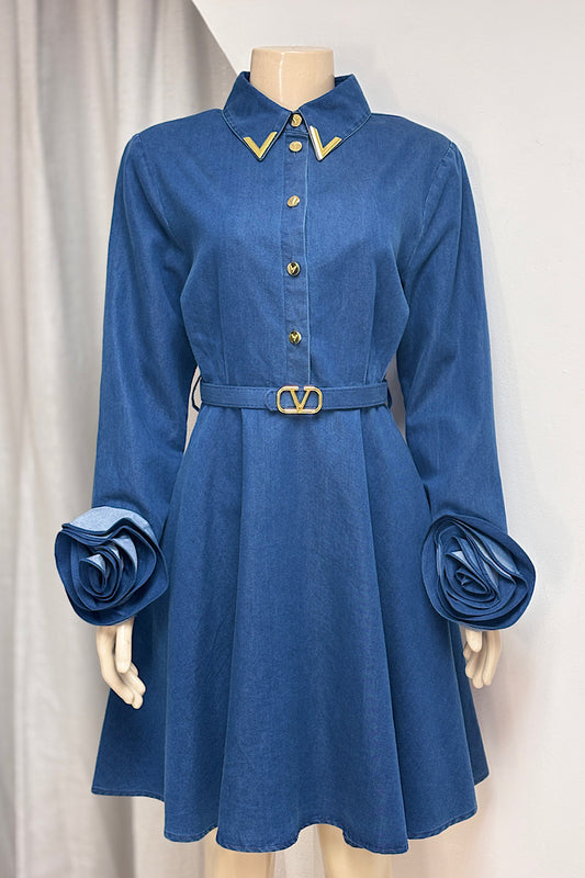 Jean Rosette Sleeve Flare Dress