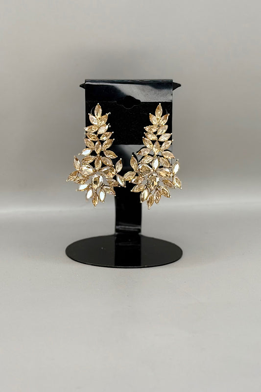 Earring- Multi Option Collection
