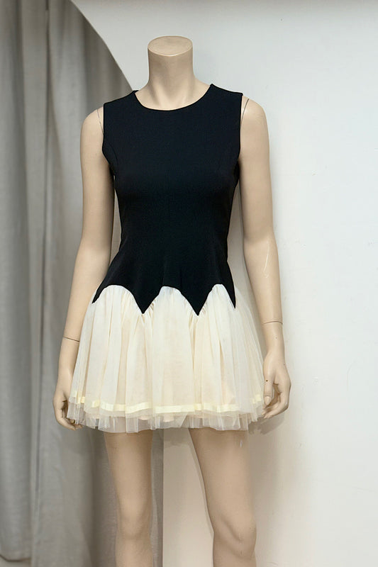 Tulle Bottom Structured Mini Dress