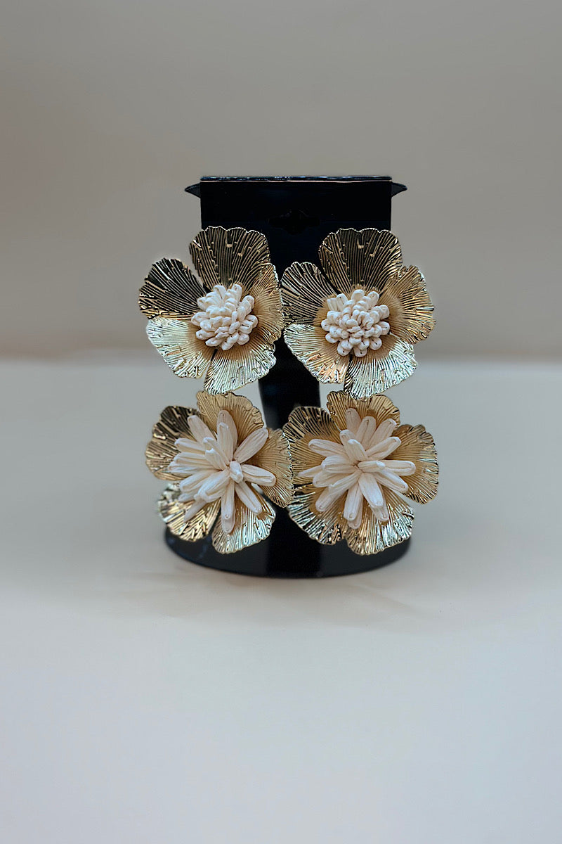 Earring- Multi Option Collection