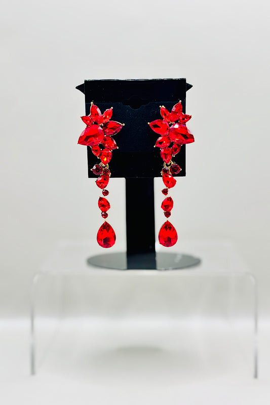 Earring- Multi Option Collection