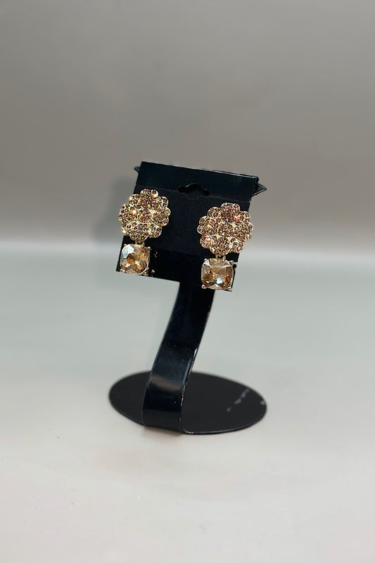 Earring- Multi Option Collection