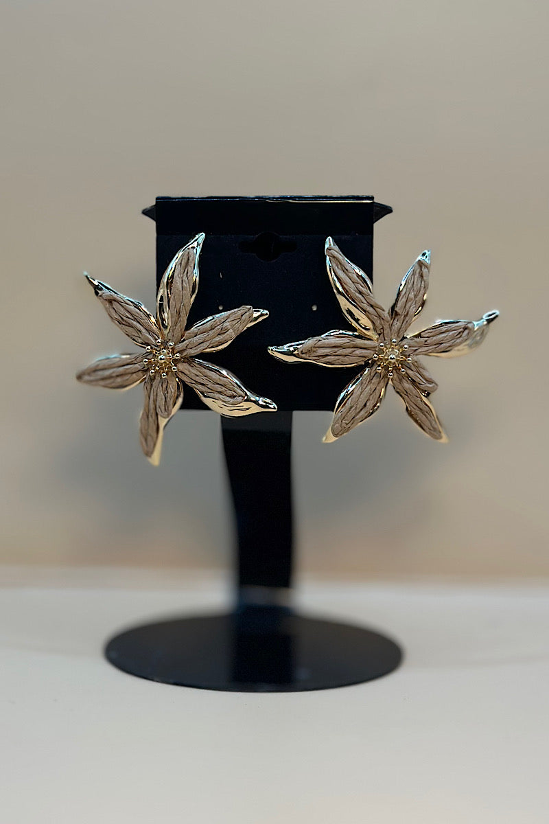 Earring- Multi Option Collection