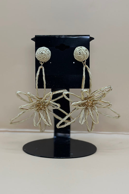 Earring- Multi Option Collection
