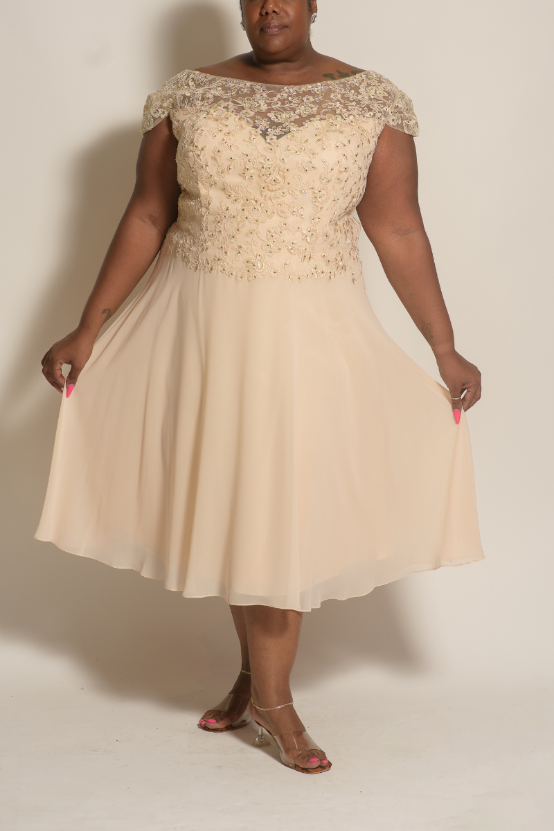 Curvy Short Formal