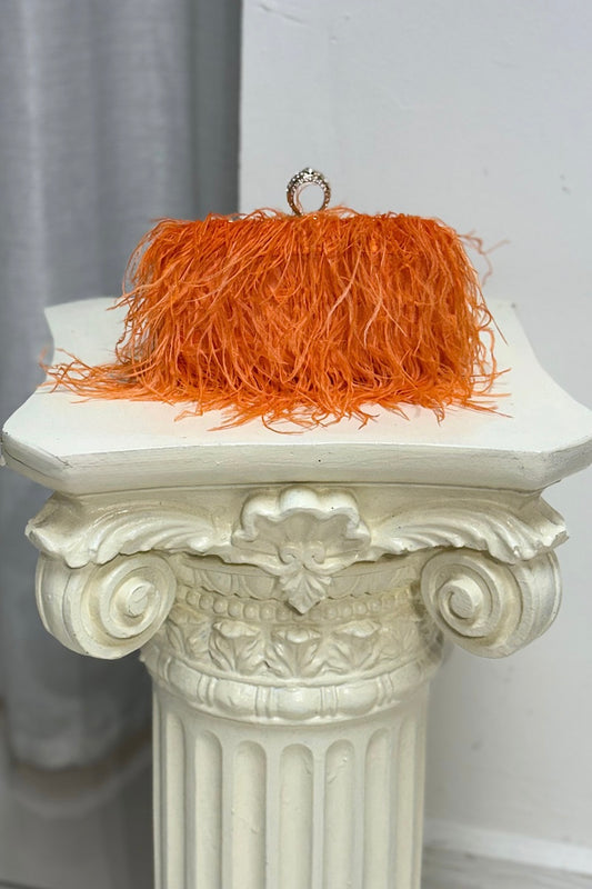 Rectangle Feather Ring Clutch
