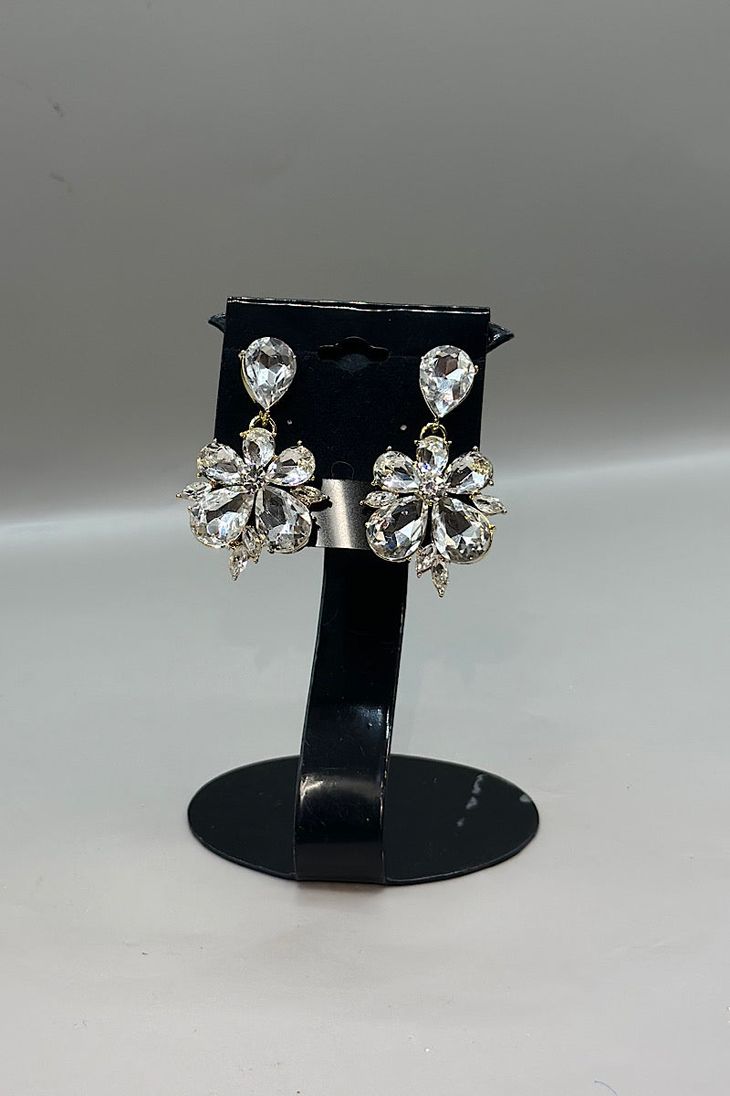 Earring- Multi Option Collection 128