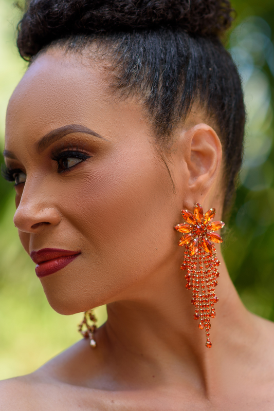Earring- Multi Option Collection