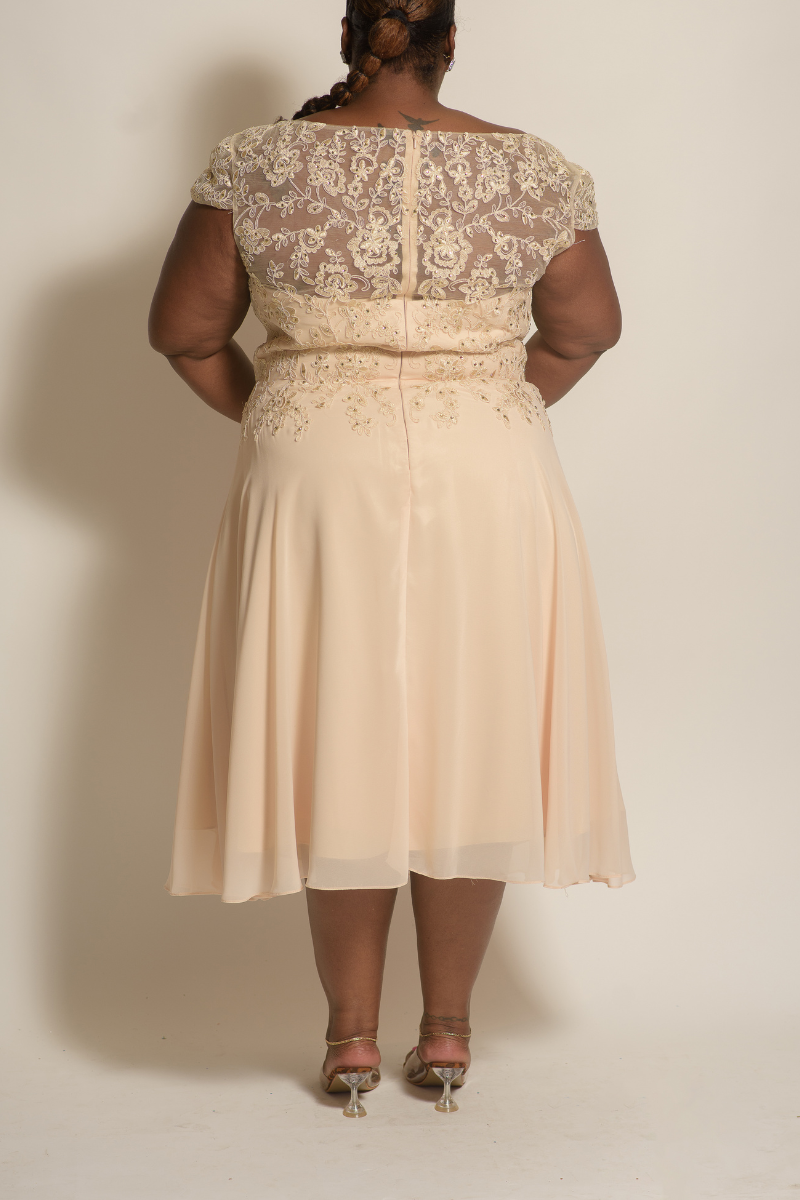 Curvy Short Formal