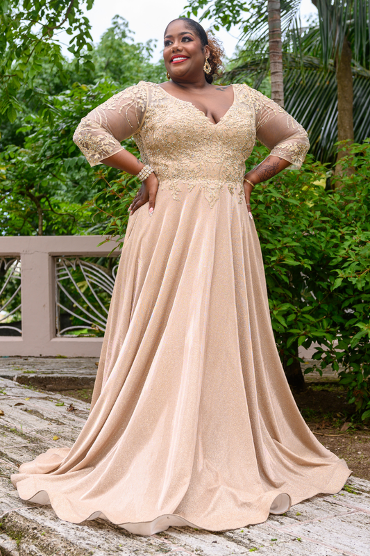 Shimmer V-Neck Embroidered Flare Formal