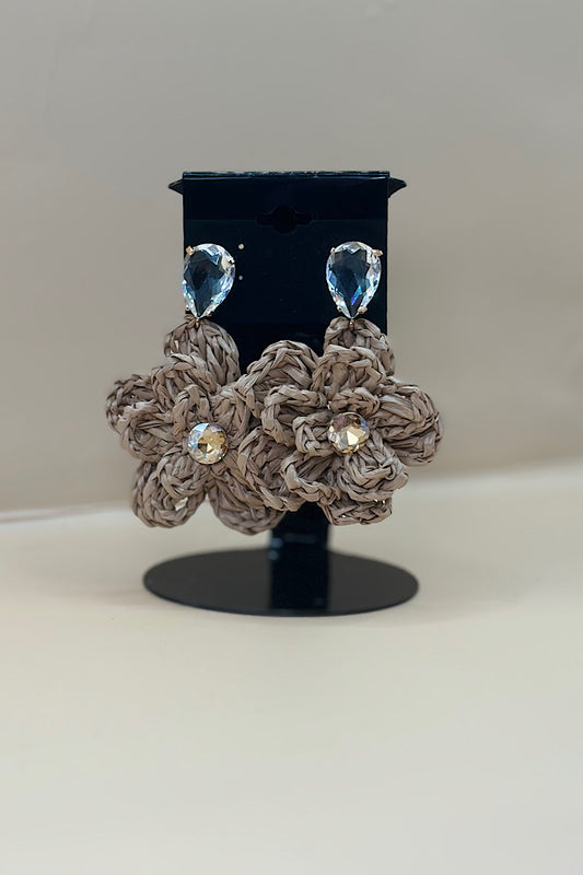 Earring- Multi Option Collection