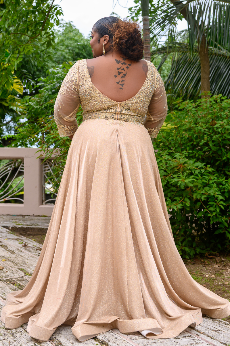 Shimmer V-Neck Embroidered Flare Formal